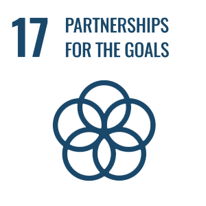 UN - Partnerships for the goals